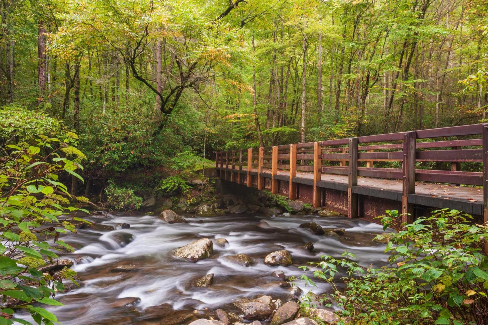 Her Majesty'S Way, Awesome Mtn Views, 1089 Free Tickets Each Paid Day, Dollywood And More Gatlinburg Buitenkant foto